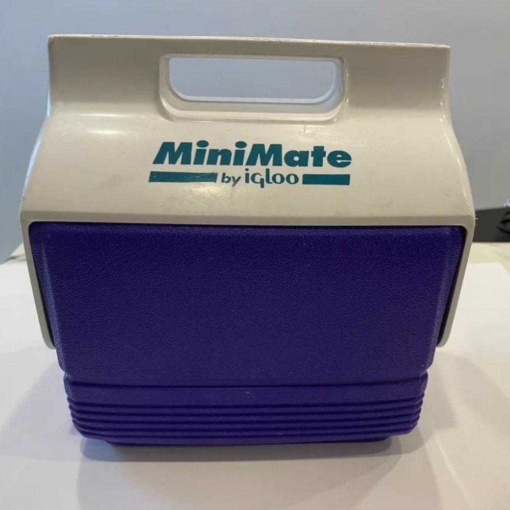 Igloo Mini Mate Purple & Teal Push Button Lunch Cooler Beer Soda Pop 4 Qt Beach